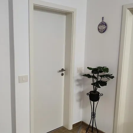 Lägenhet Ralex Braşov