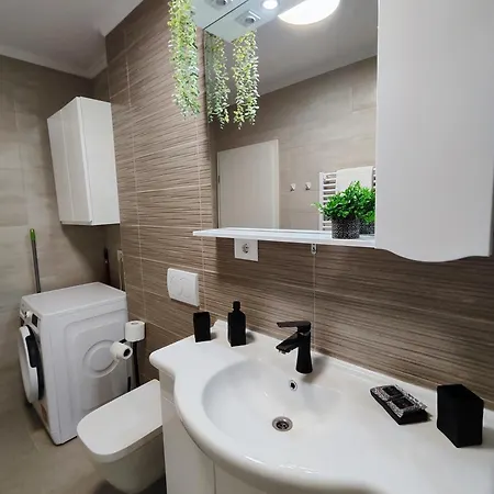 アパート Ralex ブラショフ