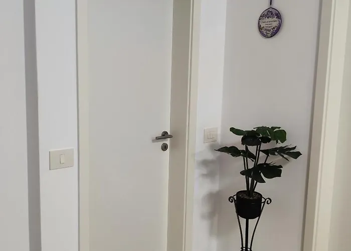 Apartment Ralex Brasov