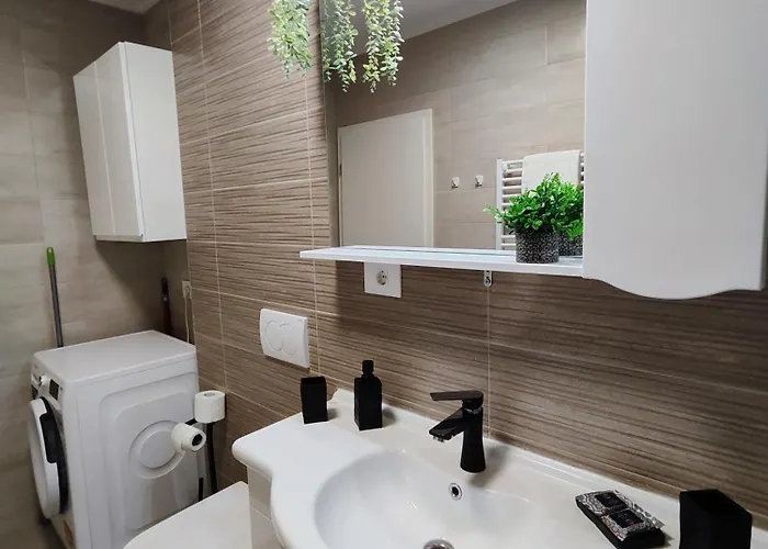 Apartment Ralex Brasov